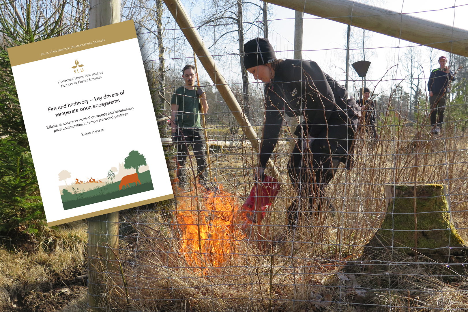 Bild About the journal